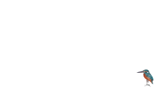 Die Boer & Die Belg